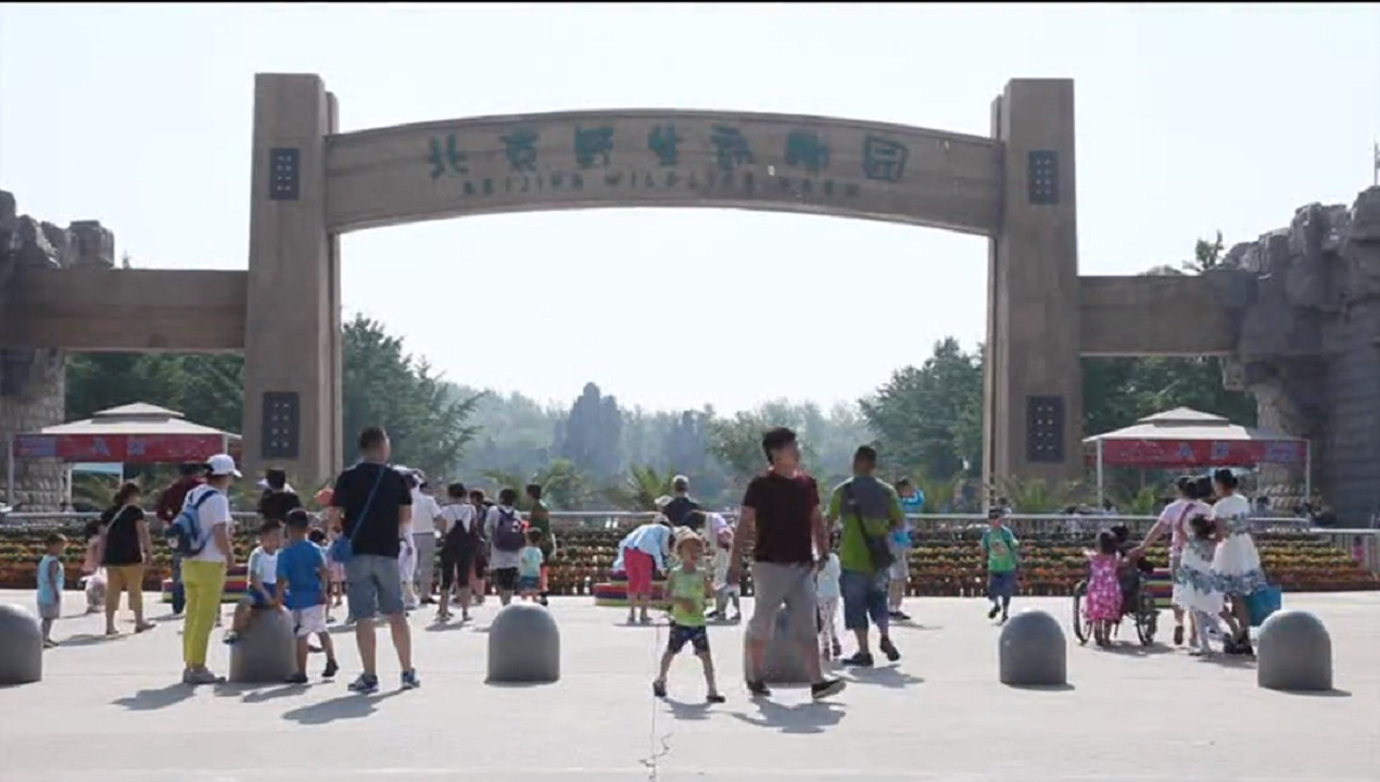 18����luck��(�й�)-�ٷ���վ